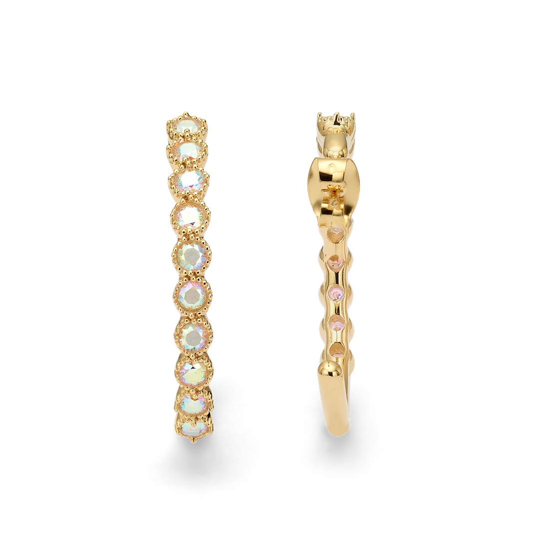 18K Gold Plated Hoop Earring with Clear Crystals - Botanic - 4