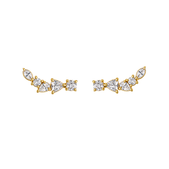 18K Gold Plated Climber Earrings with Zirconia - Botanic - 2